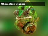 Chameleon Jigsaw