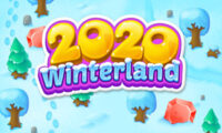 2020! Winter Land